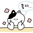 스테이 혜원 이미지