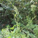 상사_체육공원 이미지