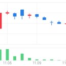 (주)화이바이오메드 이미지
