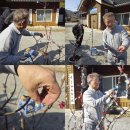 읍내현대(아)경로당 | "나무 위의 철학자들"-금산 활골미술프로젝트 / 2026년 4월 봄 잎이 됩니다.