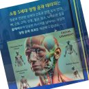 61 | 칙칙한 피부는 안녕! 계양구 '피부에 스며들다'에서 인생 광채 찾았어요