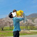 농도원목장 | 아이랑 목장체험 여기 꼭 가세요...농도원목장 솔직 후기(+벚꽃 대박)