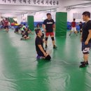 MSG 레슬링 이미지