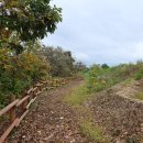 운천4리 이미지