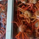 울진식당 이미지
