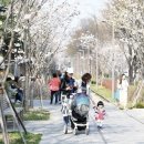 경춘선숲길 이미지