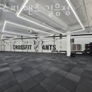 크로스핏 앤츠 이미지