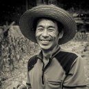 몰운대농장 이미지