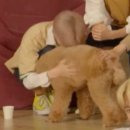 뉴마 Daum카페