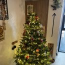 부흥로 | 부평카페 추천 느좋 감성맛집 코뿔소 방문후기