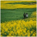 나리신발 네이버블로그