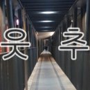 쇼비디오쟈키꼬치피네 네이버블로그