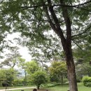허니통신 이미지
