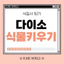 자라는 씨앗 | 초보자도 성공하는 다이소 씨앗 키우기｜깻잎·부추·쑥갓 등 발아 과정 리뷰