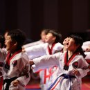 한겨레태권도 이미지