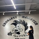 크로스핏 루스터 이미지