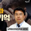 뉴욕정신건강의학과