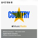 대화C&L | ｜내 돈 내산｜애플 유선 이어폰 USB-C 커넥터 EarPods 구매 후기(아이폰 라디오 듣는 방법)