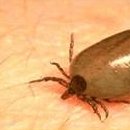 새가야약국 이미지