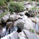 원주시 관광안내소 이미지