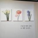 서초대로 57 | [교대피부]피부톤이 환해지는 교대 피부관리, 노바에스테틱 후기
