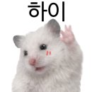 후루팝