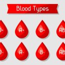 사람의 혈액형은 어떻게 결은 어떻게 결정되는 걸까? 이미지