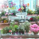 장미찻집 이미지