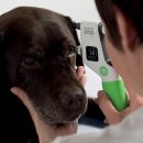 홈즈 동물병원 이미지