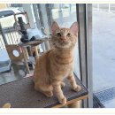 아이조아요양보호소 대구점 이미지