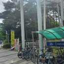 골든디쉬아메리칸차이니즈 이미지