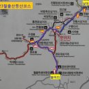 자연사랑김밥 이미지