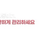 여리한다이어트 이미지