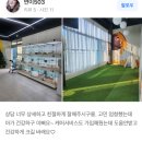 인천고양이분양 테디럽 | 인천고양이분양 테디럽 아직도 돈주고입양하세요?