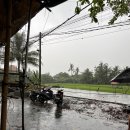 늘 평화로운 약국 | 2025. 2. 겨울방학 여행 첫 발리, 우붓...Ubud,Bali