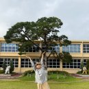 지수초등학교 | [진주여행]부자마을 탐방(지수초등학교,지수승산마을, 지수양조장,진주 맛집추천)