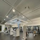 디스이즈 피트니스 이미지