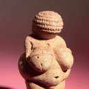 미세상피부과의원 이미지