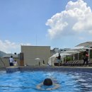 내리그집가자 이미지