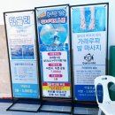드림레포츠 | 화순 금호아쿠아나 버블파티시간 실내실외수영장, 식당정보 솔직후기
