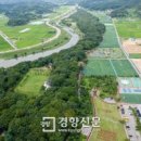 상림 이미지