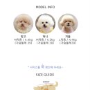 날 데려가주 개 이미지