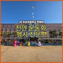 🚩 (찾아가는 체육대회 2026) 천안 부성초등학교 운동회 운영 후기 / 천안초등학교 운동회 전문 / 학교...
