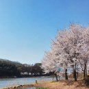 중대물빛공원 이미지