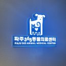 파주365동물의료센터 | 기록/애개육아] 포메라니안 김콩떡 생애 처음이자 마지막 중성화 후기 / 파주365동물의료센터 중성화 후기