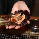 사직2동-19 이미지