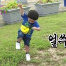새로미 이미지