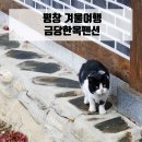 금당한옥펜션 이미지