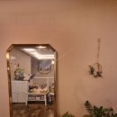 계림동물병원 | 경주 로라커피 읍성 루프탑카페 애견카페