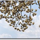 진동초등학교 이미지